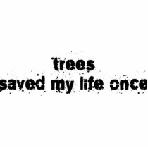 Trees Saved My Life Once photo sculptures