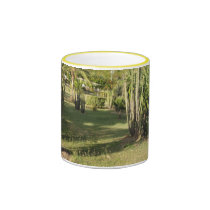 Trees scenery mugs