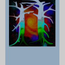 trees t-shirts by carlajean42 trees t-shirts