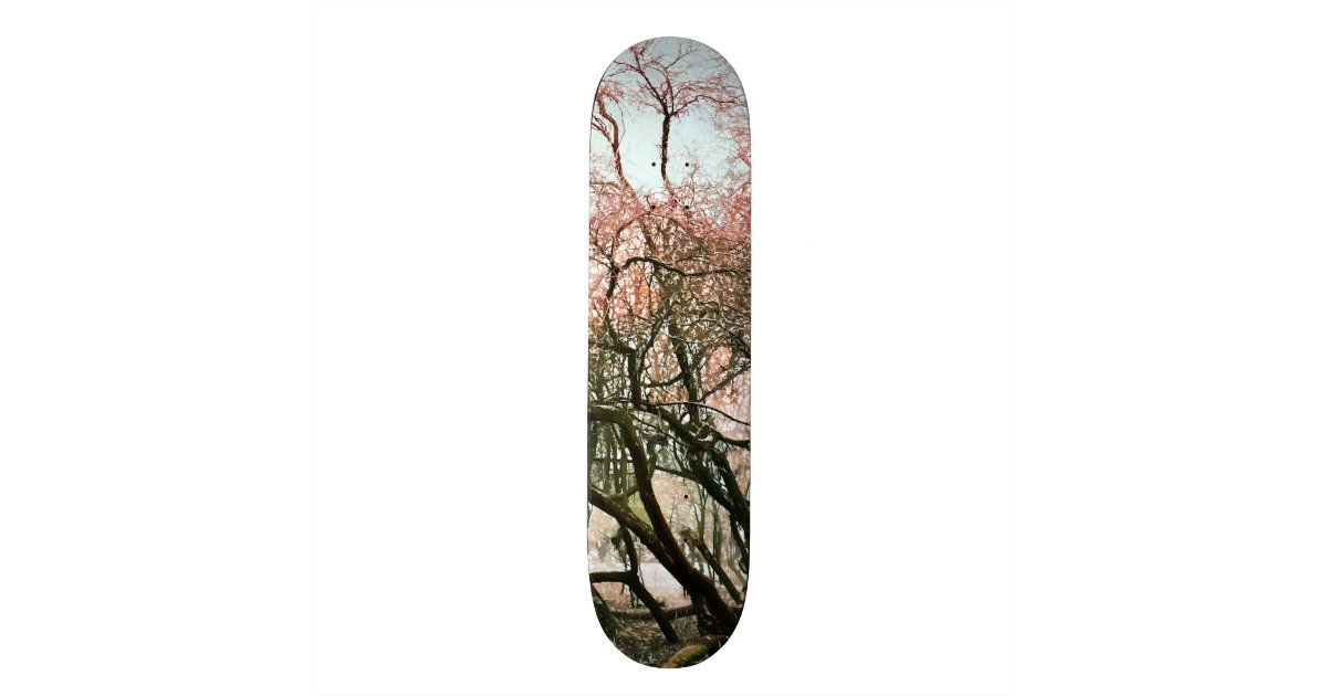 TREES SKATEBOARD Zazzle