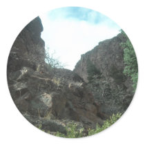 Trees stickers