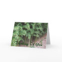 Trees Thinking of You cards