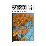 Tree's Time to Shine Stamp