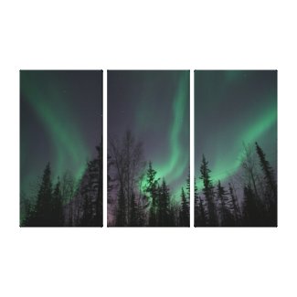 TREES W/NORTHERN LIGHTS BACKGROUND CANVAS CANVAS PRINT