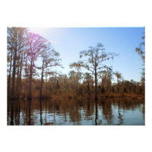 Trees, Water, Spanish Moss Invitation Background