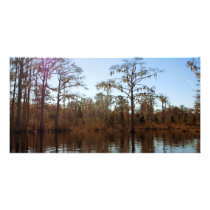 Trees, Water, Spanish Moss Photo Card