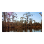 Trees, Water, Spanish Moss Photo Card
