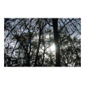 Trees with Gazebo & Sun - Poster posters by bontongallery Trees with Gazebo & Sun - Poster posters