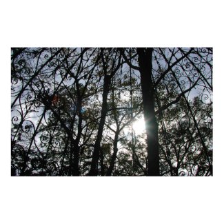 Trees with Gazebo & Sun print