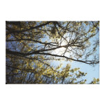 "Trees" Wrapped Canvas canvas prints