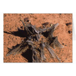 Treestump Greeting Card