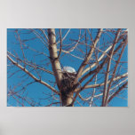 Treetop Chalet - print