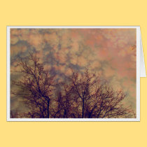 Treetops Amber card cards