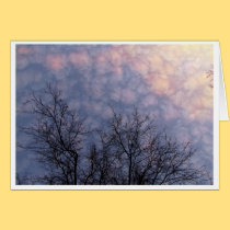 Treetops Light card cards