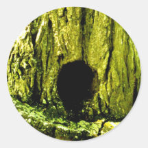 treetrunkbirdhouse stickers