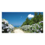 Trekking trail photo greeting card