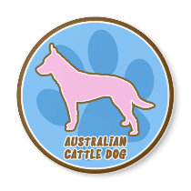 Trendy Australian Cattle Dog magnets
