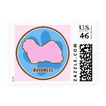 Trendy Havanese Stamp