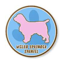 Trendy Welsh Springer Spaniel magnets by MenagerieMayhem Trendy Welsh Springer Spaniel magnets