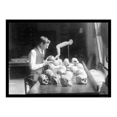 Trepanned Skulls Museum 1926 Posters by lc_vintagephotos