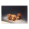 Tres Hombres posters by chdsoftware Tres Hombres posters