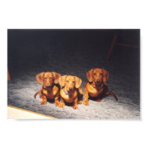 Tres Hombres posters by chdsoftware Tres Hombres posters