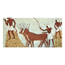Trescher Of Cereals By Maler Der Grabkammer Des Me Photo Greeting Card
