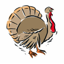 Trevin Turkey photo sculptures