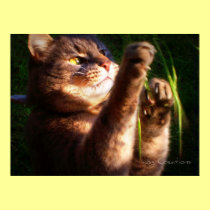 "Trevor" posters