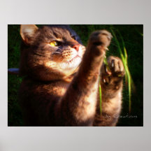 "Trevor" Print