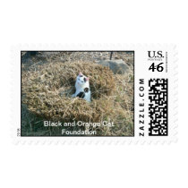 Trez in the field stamps