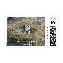Trez in the field stamps