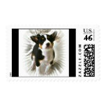 Tri Basenji stamp