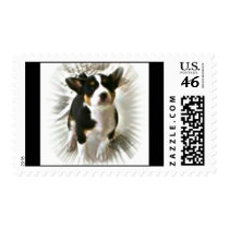 Tri Basenji stamp