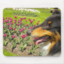 Tri Collie N the Tulips Mouse Pad mousepads