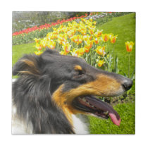 Tri Collie N the Tulips Tile Trivet tiles