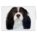 Tri Color Cavalier King Charles Spaniel 2 cards by cali_gal_83 Tri Color Cavalier King Charles Spaniel 2 cards