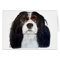 Tri Color Cavalier King Charles Spaniel 2 cards