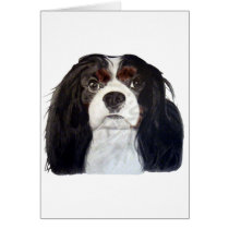 Tri Color Cavalier King Charles Spaniel 2 cards