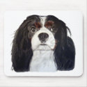 Tri Color Cavalier King Charles Spaniel 2 mousepads by cali_gal_83 Tri Color Cavalier King Charles Spaniel 2 mousepads