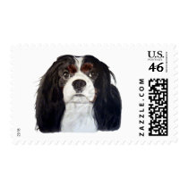 Tri Color Cavalier King Charles Spaniel 2 postage