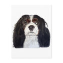 Tri Color Cavalier King Charles Spaniel 2 postcards