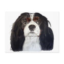 Tri Color Cavalier King Charles Spaniel 2 postcards