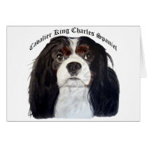 Tri Color Cavalier King Charles Spaniel cards