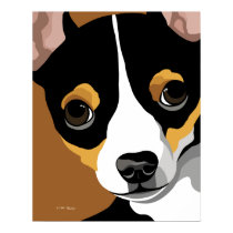 Tri Color chihuahua posters