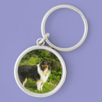 Tri Color Collie keychains
