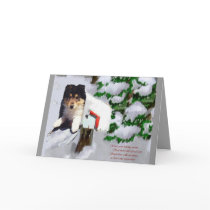 Tri-Color Collie Puppy Christmas Gifts Greeting Card