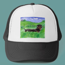 tri color dachshund in field hats by zadajeanne tri color dachshund in field hats