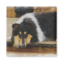 Tri Color  Rough Collie Gifts Art magnets