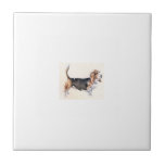 Tri-Colored Basset Hound Tile